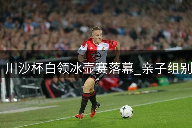 川沙杯白领冰壶赛落幕 亲子组别创新引关注
